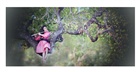 dailyPhoto7